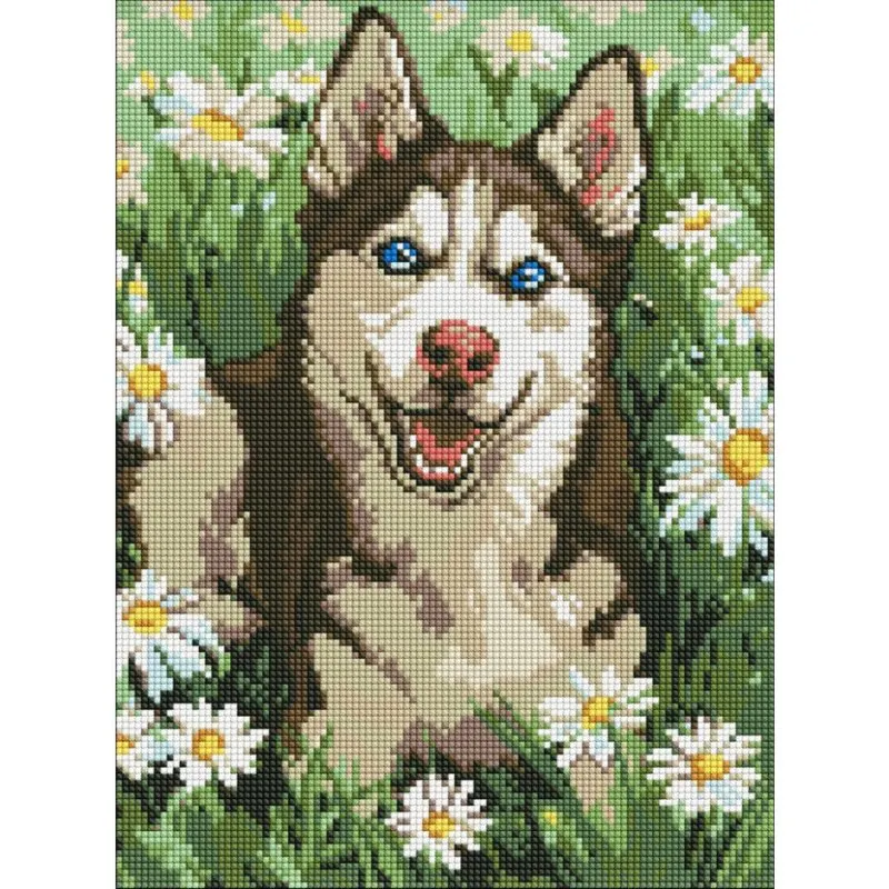 Алмазна мозаїка "Хаскі у квіточках" ©art_selena_ua Ідейка AMO20472, 30х40 см